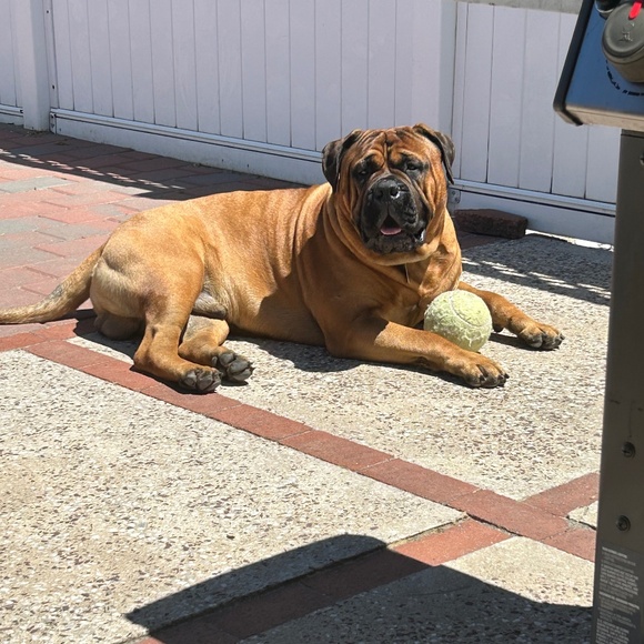 Meet your Posher, Lisa - Picture 11 of 11